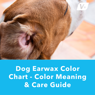 Dog Earwax Color Chart - Color Meaning