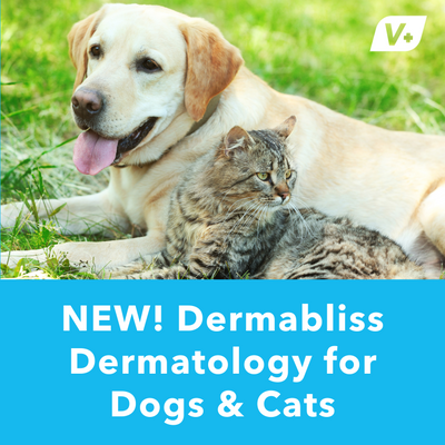 NEW! Dermabliss™ Dermatology Products for Dogs & Cats