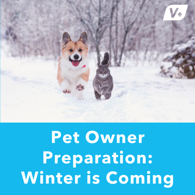 Pet Owner Preparation: Winter is Coming