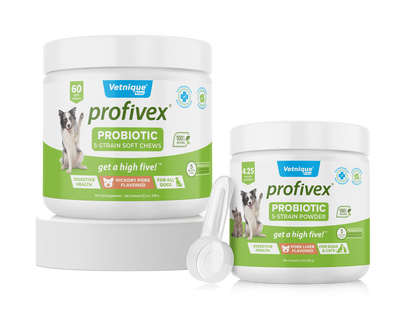 Probiotic and Digestive Supplements for Dogs and Cats | Profivex
