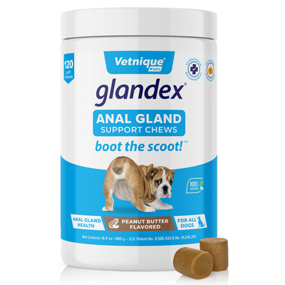 Peanut Butter 120 Count Flavored Glandex Anal Gland Support Chews