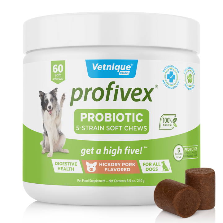 Profivex® Five Strain Probiotic Soft Chew Treats for Dogs
