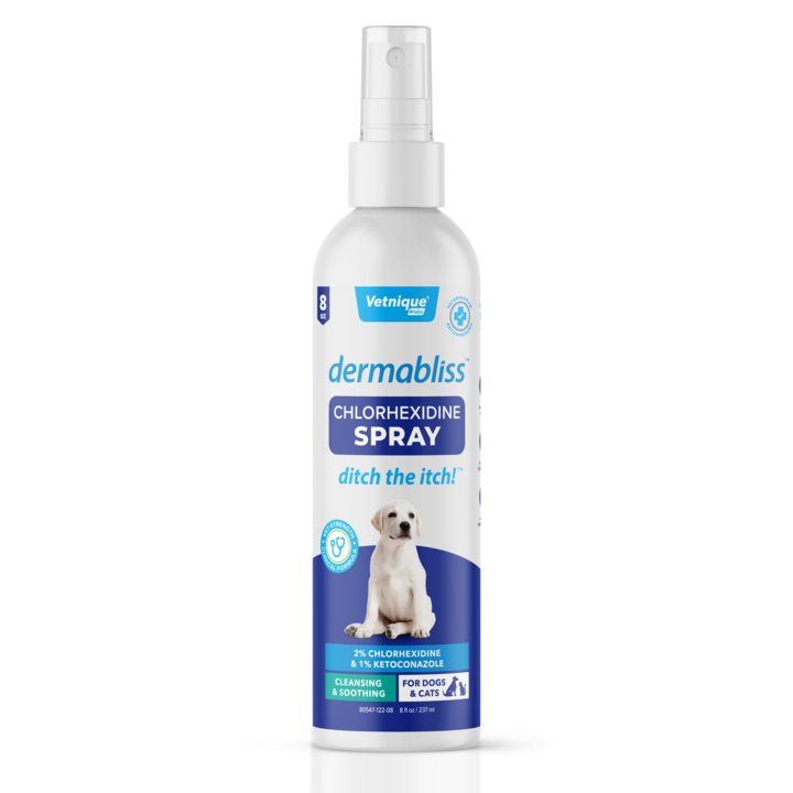 Dermabliss™ Anti-Bacterial & Anti-Fungal Chlorhexidine Spray - 8 oz