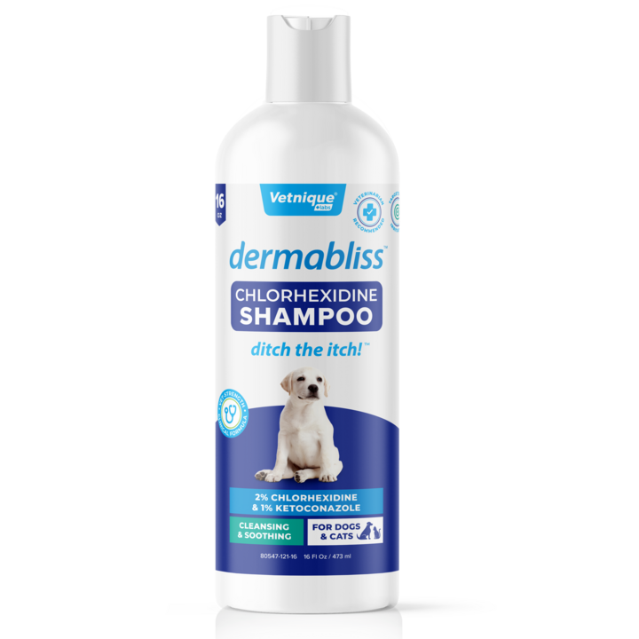 Dermabliss™ Anti-Bacterial & Anti-Fungal Chlorhexidine Shampoo