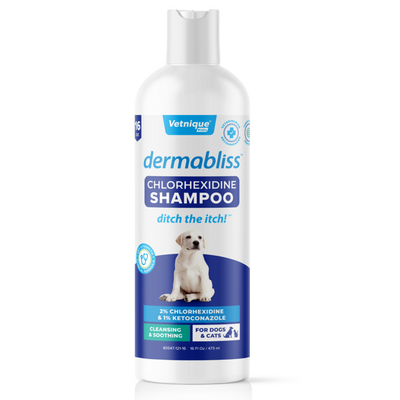 Dermabliss™ Anti-Bacterial & Anti-Fungal Chlorhexidine Shampoo
