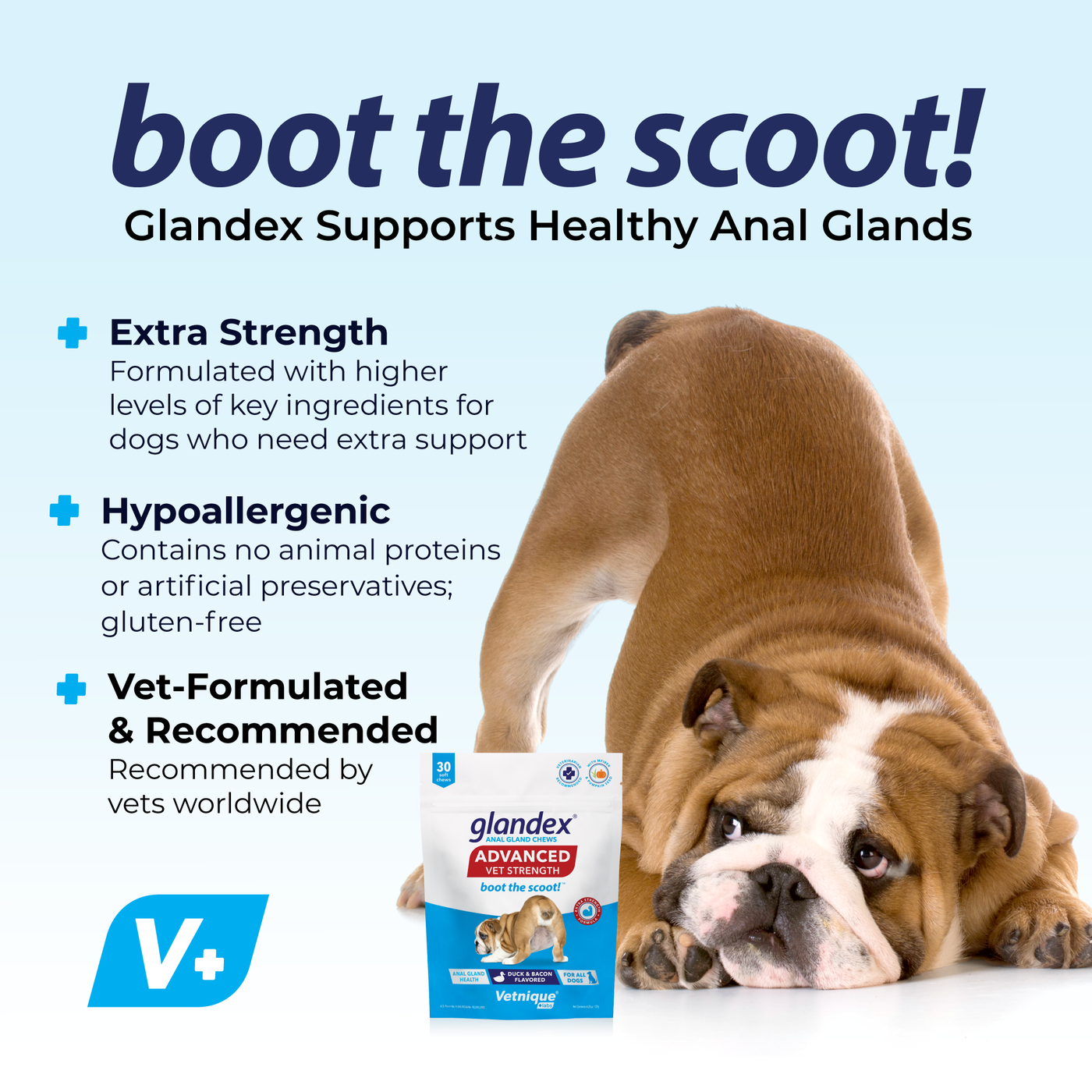 Boot the Scoot with Glandex Advanced Vet Strength Anal Gland Chew 30 Count