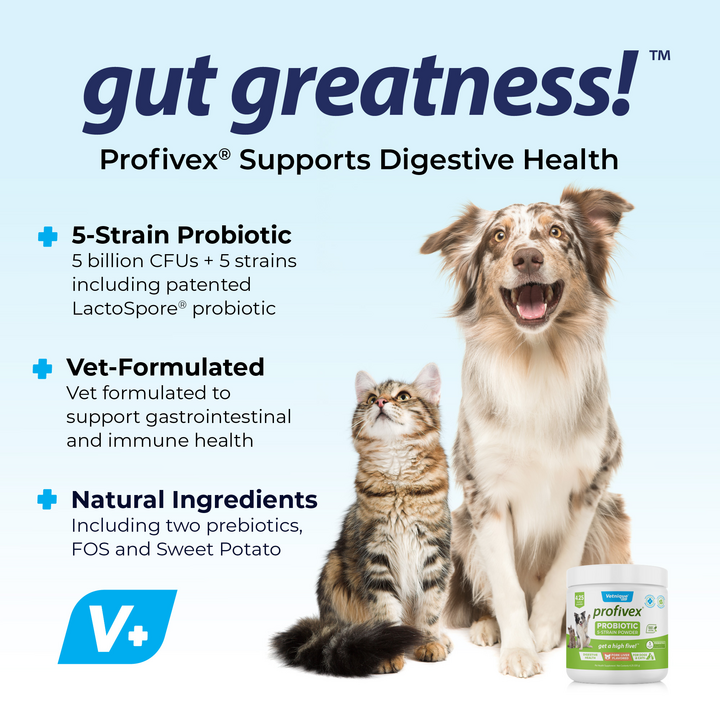 Gut Greatness! Profivex Benefits