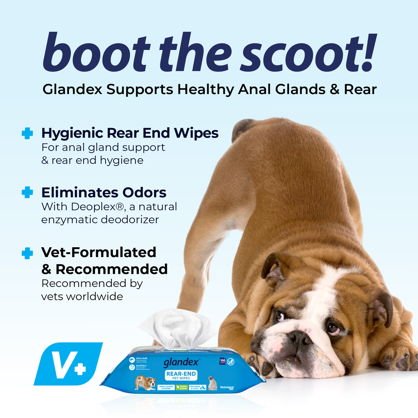 Boot the Scoot with Glandex Rear End Pet Wipes 