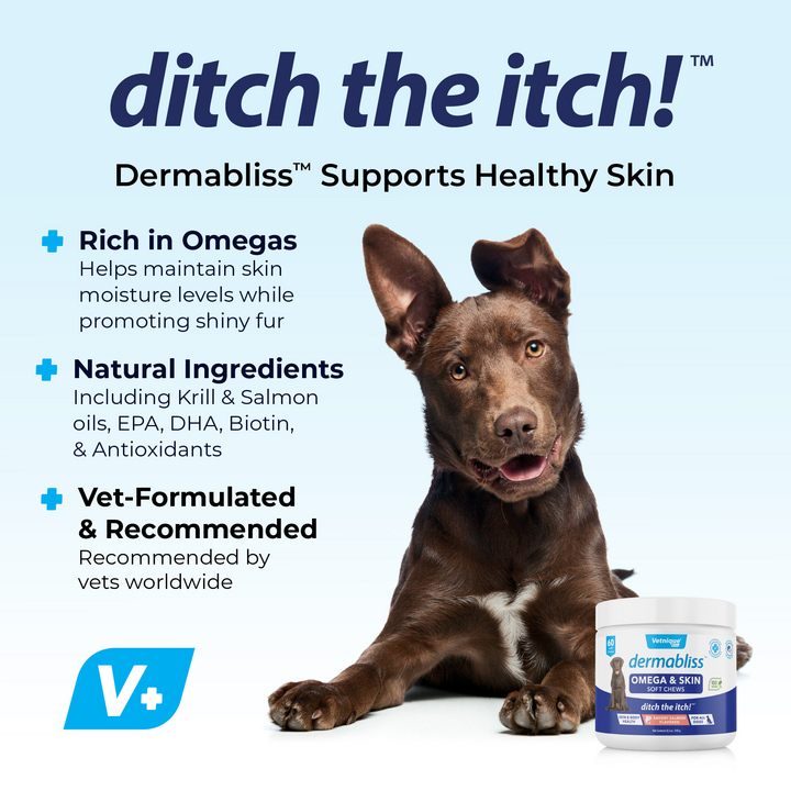 Dermabliss Omega & Skin Soft Chews for Dogs Skin & Body Health Features