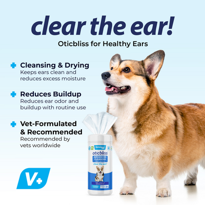 Clear the ear with Oticbliss™ Advanced Cleaning Ear Wipes XL - 60 ct