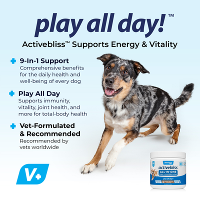 Play all day with Activebliss All-In-One Daily Superchews