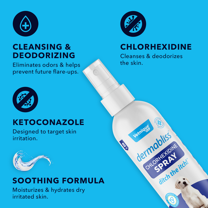 Dermabliss™ Anti-Bacterial & Anti-Fungal Chlorhexidine Spray - 8 oz Ingredients