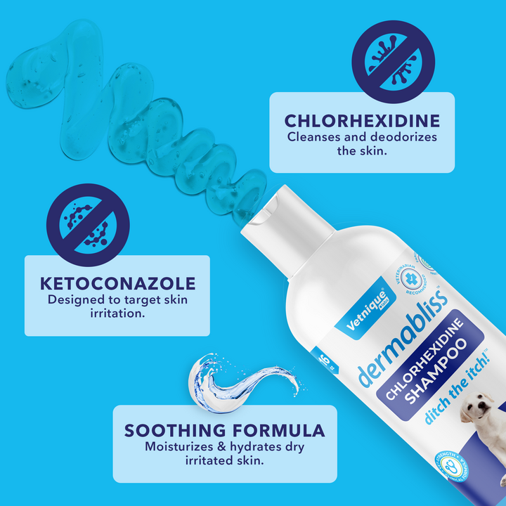Dermabliss™ Anti-Bacterial & Anti-Fungal Chlorhexidine Shampoo Ingredients