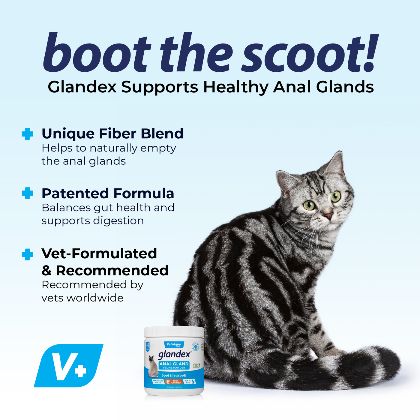 Boot the Scoot with Glandex® Feline Anal Gland Supplement with Pumpkin - 4.0 oz