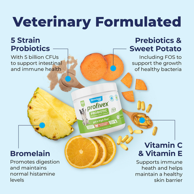 Profivex® Five Strain Probiotic Soft Chew Treats for Dogs Ingredients