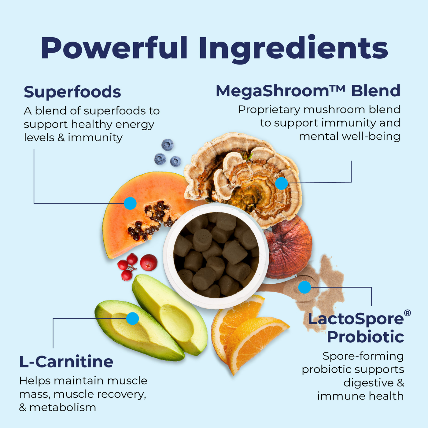 Powerful Ingredients like Superfoods