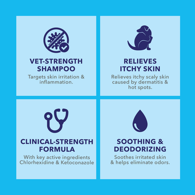 Dermabliss™ Anti-Bacterial & Anti-Fungal Chlorhexidine Shampoo Features