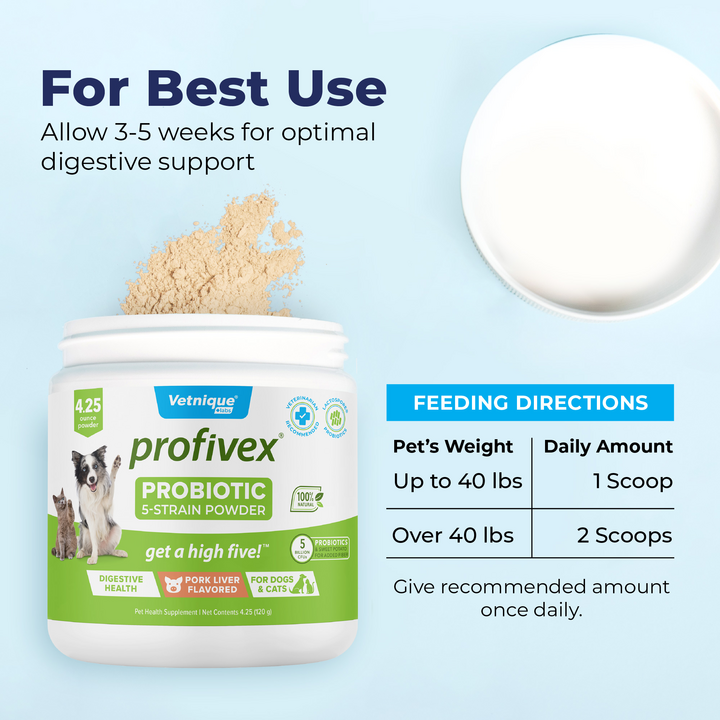 Profivex Powder Best Use