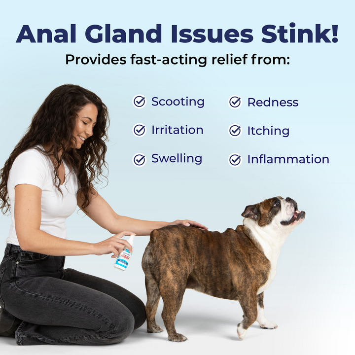 Glandex® Medicated Anal Gland Spray For Dogs & Cats - 4oz