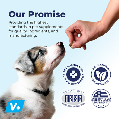 Our promise at Vetnique Labs
