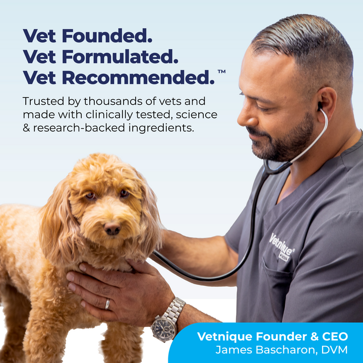 Vet Founded, Vet Formulated and Vet Recommended