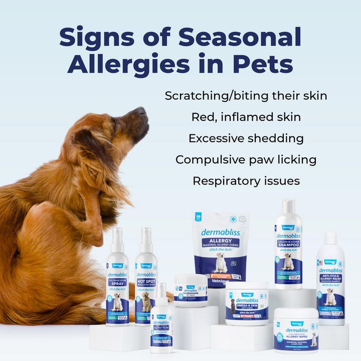 Signs of Seasonal Allergies in Pets