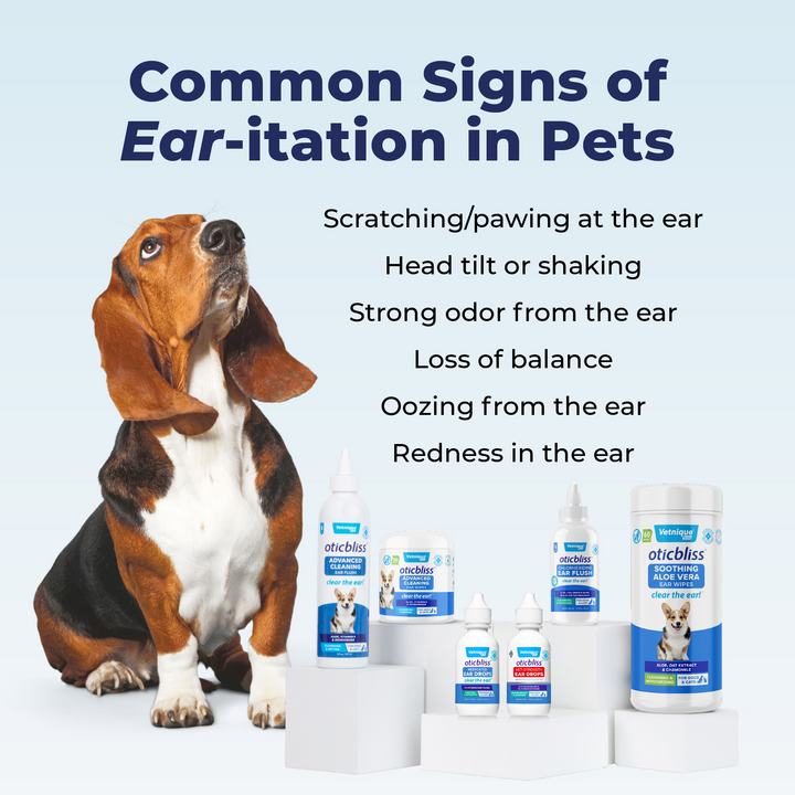 Common Signs of Ear-itation in pets