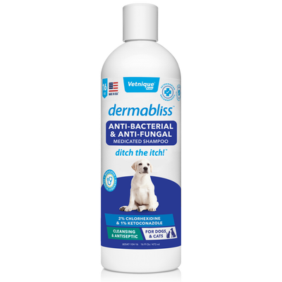 Dermabliss Anti-BActerial and Anti Fungal Medicated Shampoo