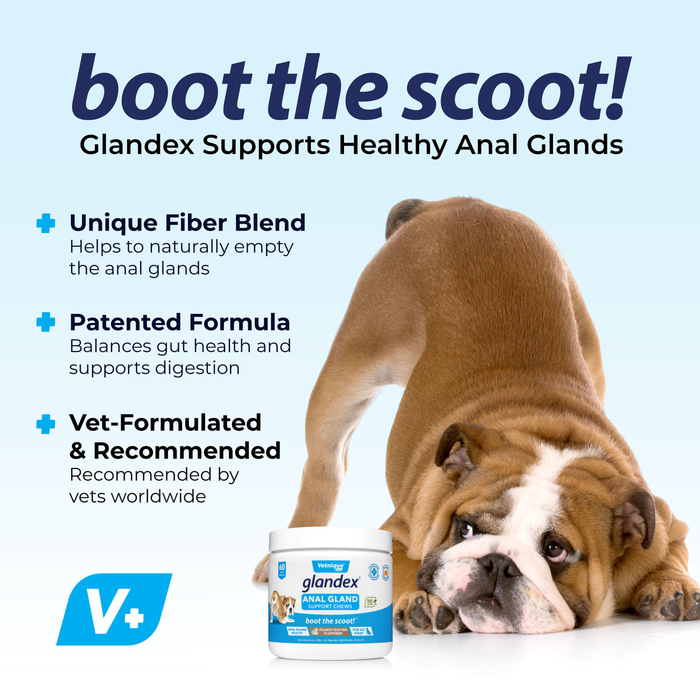 Glandex® Anal Gland Supplement for Dogs with Pumpkin - 60 Chews-