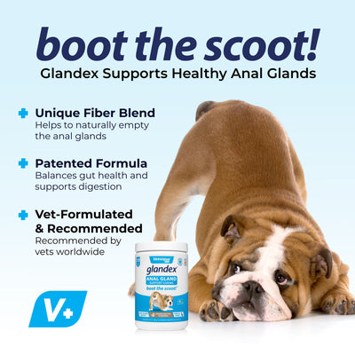 Glandex® Anal Gland Supplement for Dogs with Pumpkin - 120 Chews-