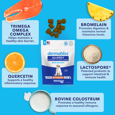 Dermabliss Seasonal Allergy Chew Ingredients