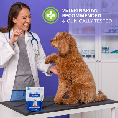 Dermabliss™ Seasonal Allergy & Immune Soft Chews for Dogs - 30 Chews