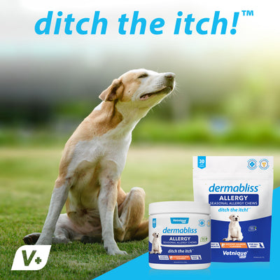 Dermabliss™ Seasonal Allergy & Immune Soft Chews for Dogs - 120 Chews