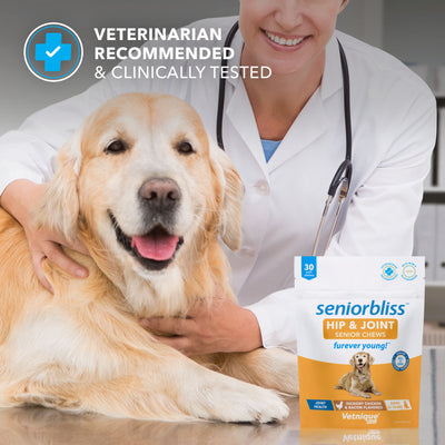 Seniorbliss™ Hip & Joint Supplement for Senior Dogs - 30 Chews