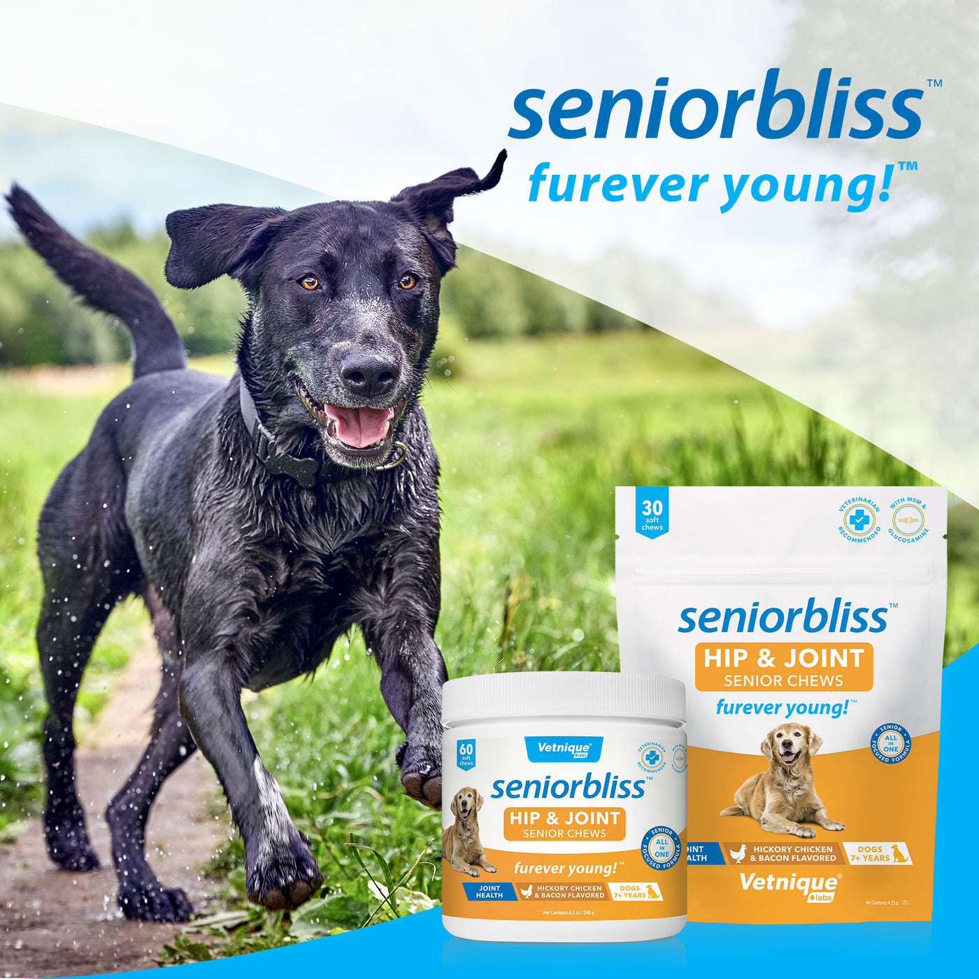 Seniorbliss™ Hip & Joint Supplement for Senior Dogs - 30 Chews