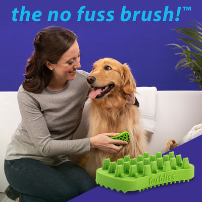 the no fuss brush