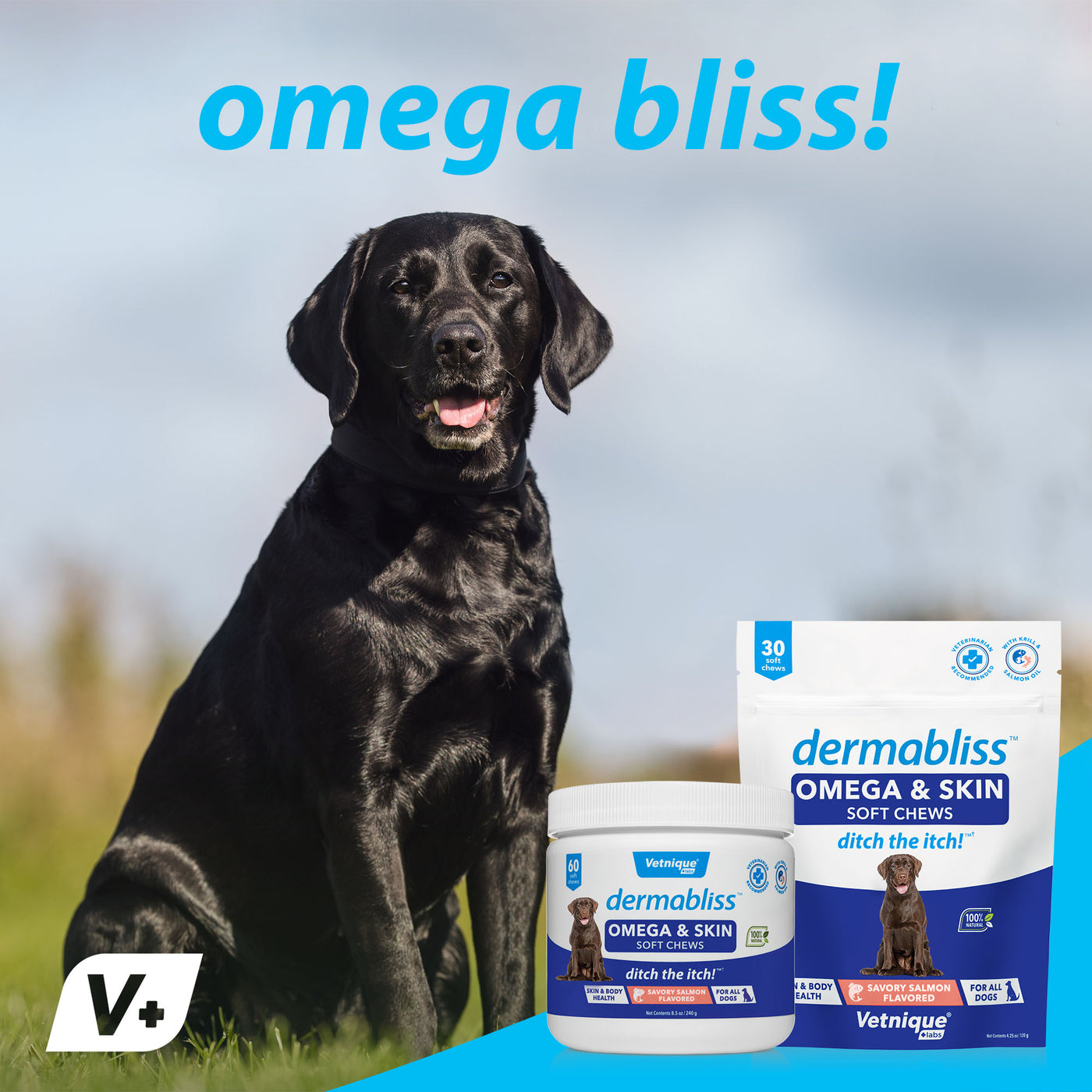 Dermabliss™ Omega & Skin Supplement for Dogs - 30 Chews