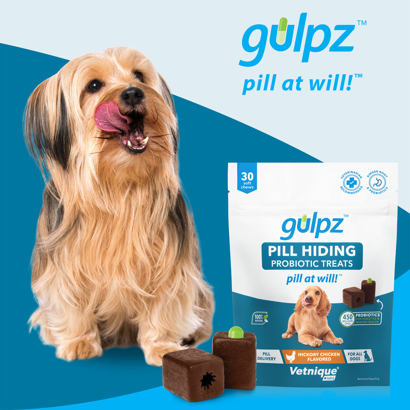 Gulpz Pill at Will