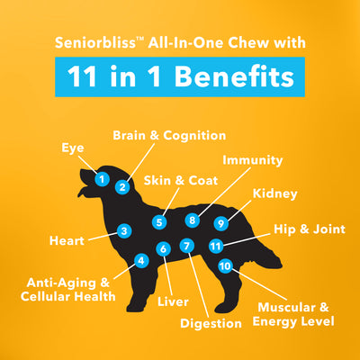 Seniorbliss™ All-in-One Supplement for Senior Dogs 11 in 1 Benefits