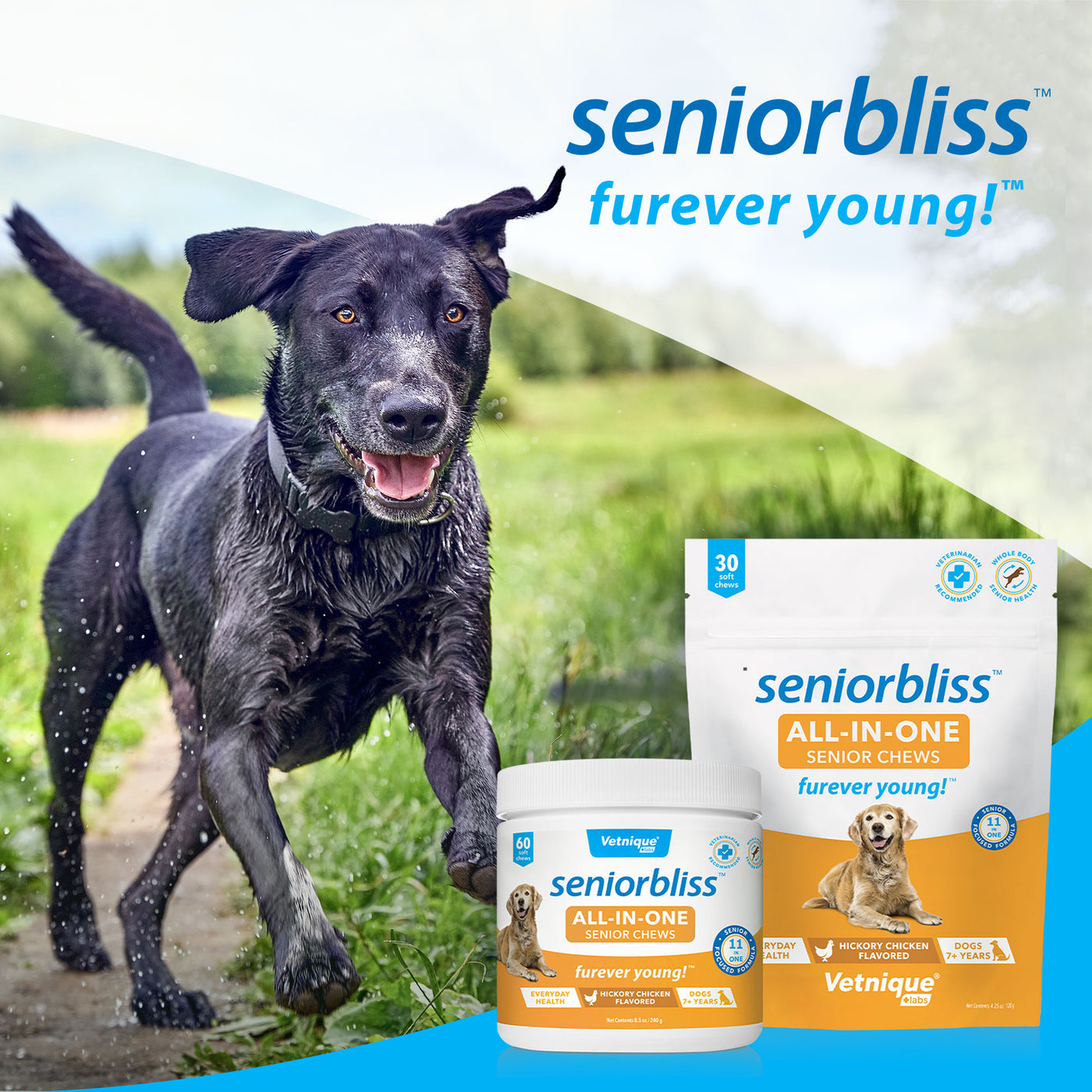 Seniorbliss™ All-in-One Supplement for Senior Dogs Furever young