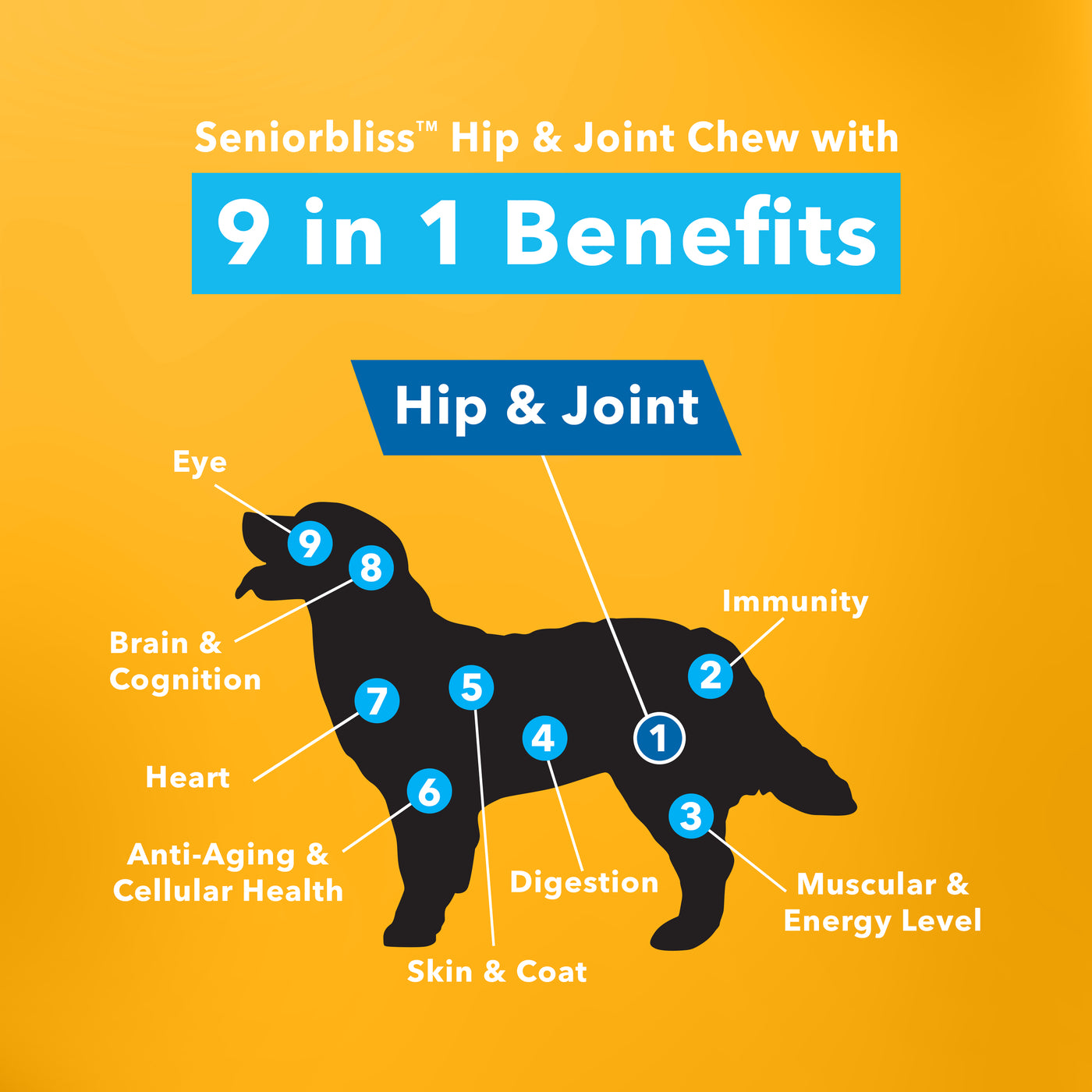 Seniorbliss™ Hip & Joint Supplement for Senior Dogs